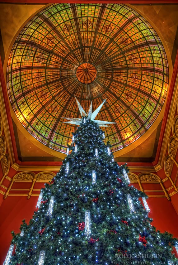 QVB Christmas Tree 2010